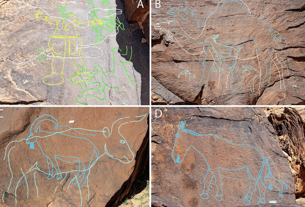 Вчені виявили найдавніші наскельні малюнки, які слугували картою для пошуку води