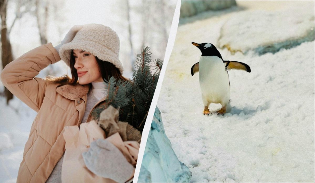 Велике свято 27 грудня 2025: кого привітати з днем ангела сьогодні