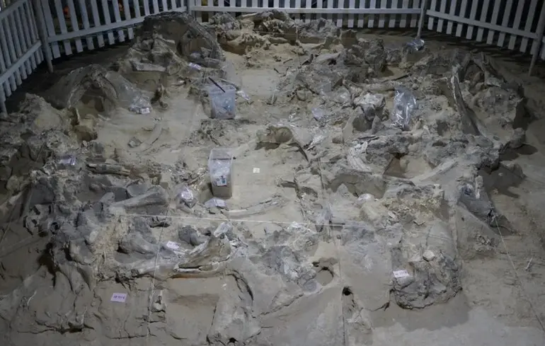 Житла з кісток мамонта на території України - коли стародавні люди будували їх у Межирічі 1