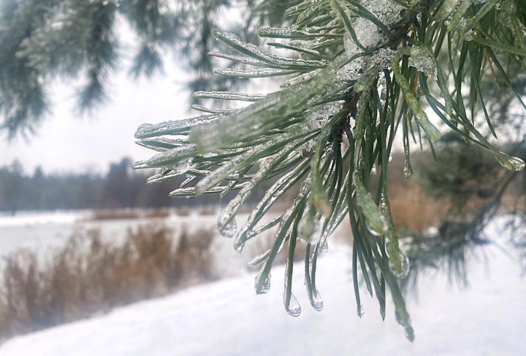 10 січня: церковне свято сьогодні, чому треба з'їсти шматочок м'яса