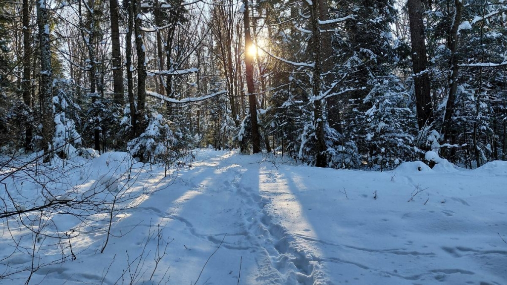 13 січня: церковне свято сьогодні, що важливо зробити, щоб рік був щедрим