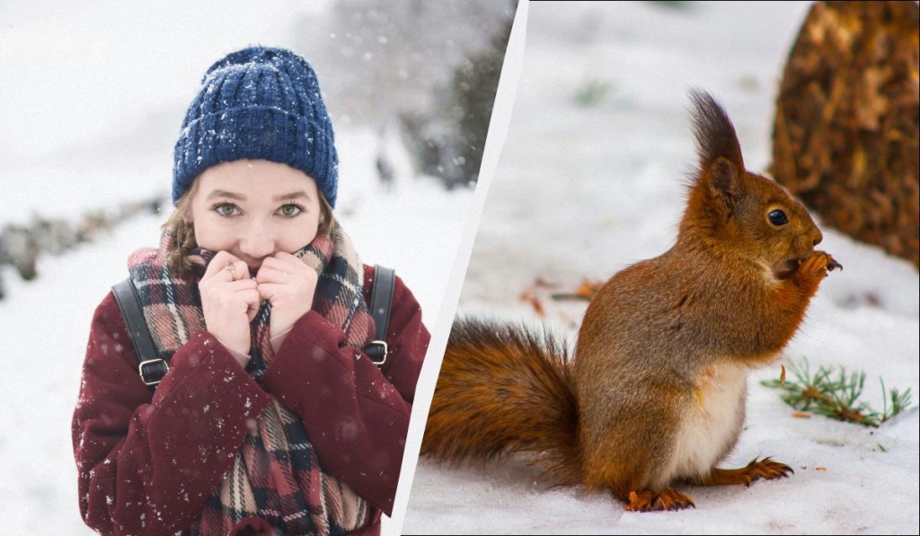 15 січня - професійне свято в Україні: чому не можна довіряти незнайомцям