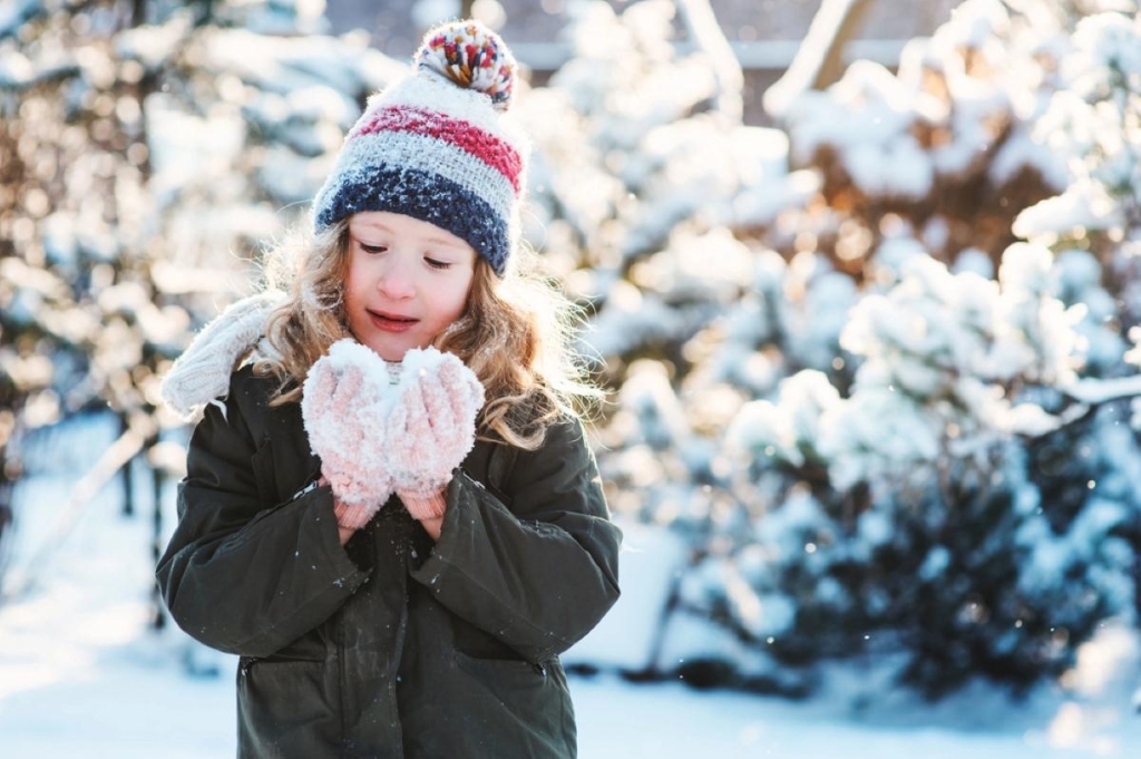 15 січня - професійне свято в Україні: чому не можна довіряти незнайомцям