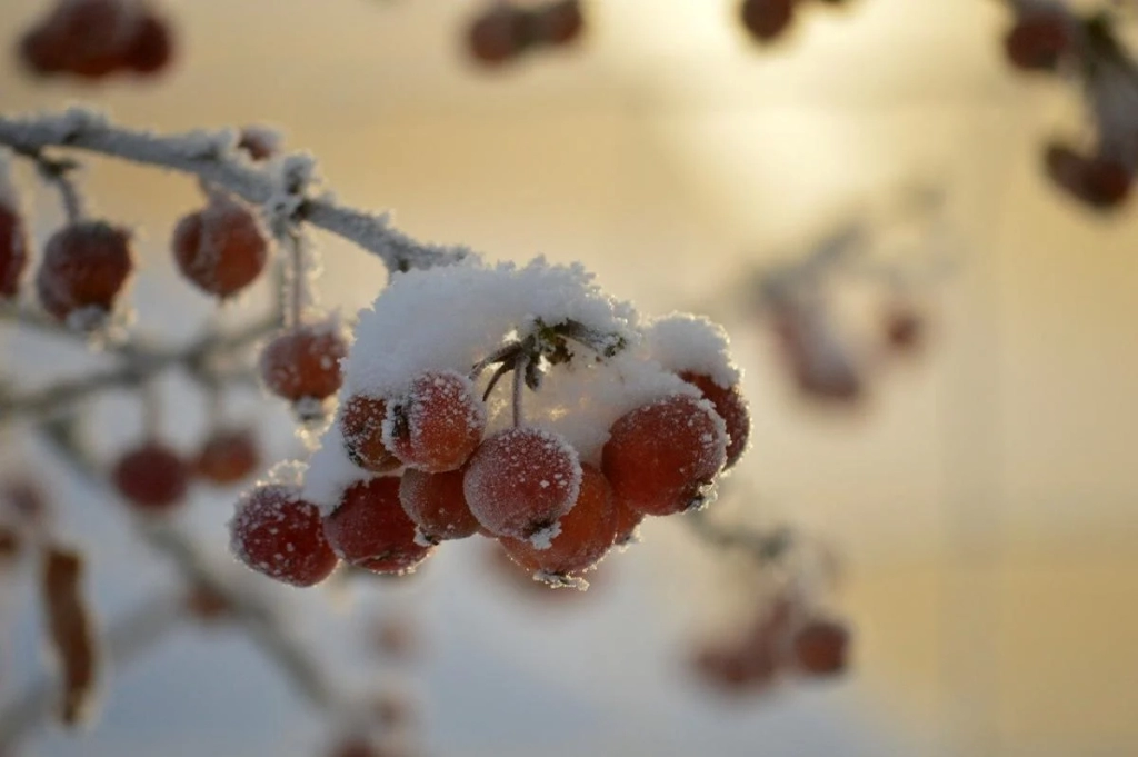 25 січня: церковне свято сьогодні, що обіцяє скору радісну звістку цього дня