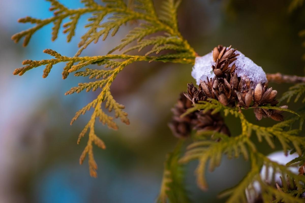 27 січня: церковне свято сьогодні, з чим краще не жартувати цього дня