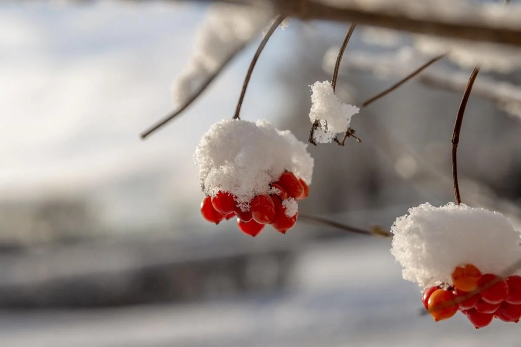 31 січня: церковне свято сьогодні, з чим краще не мати справи цього дня
