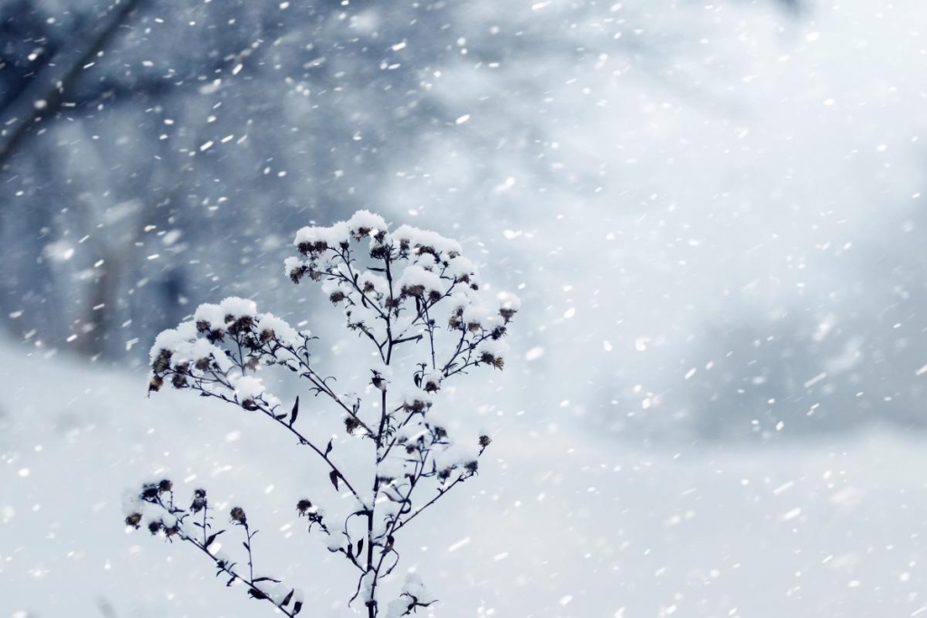 7 січня: Собор Іоанна Предтечі - що треба зробити зранку, щоб не хворіти увесь рік