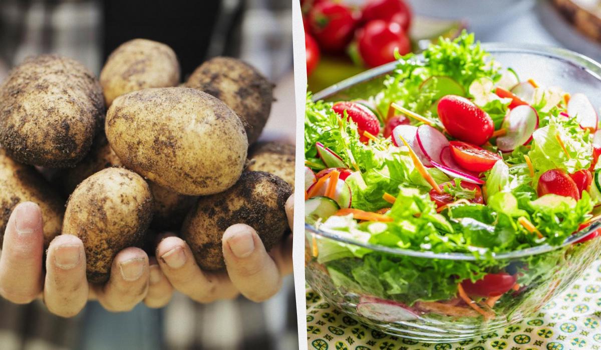 Чорний список для морозилки: 10 продуктів, які ніколи не можна там зберігати