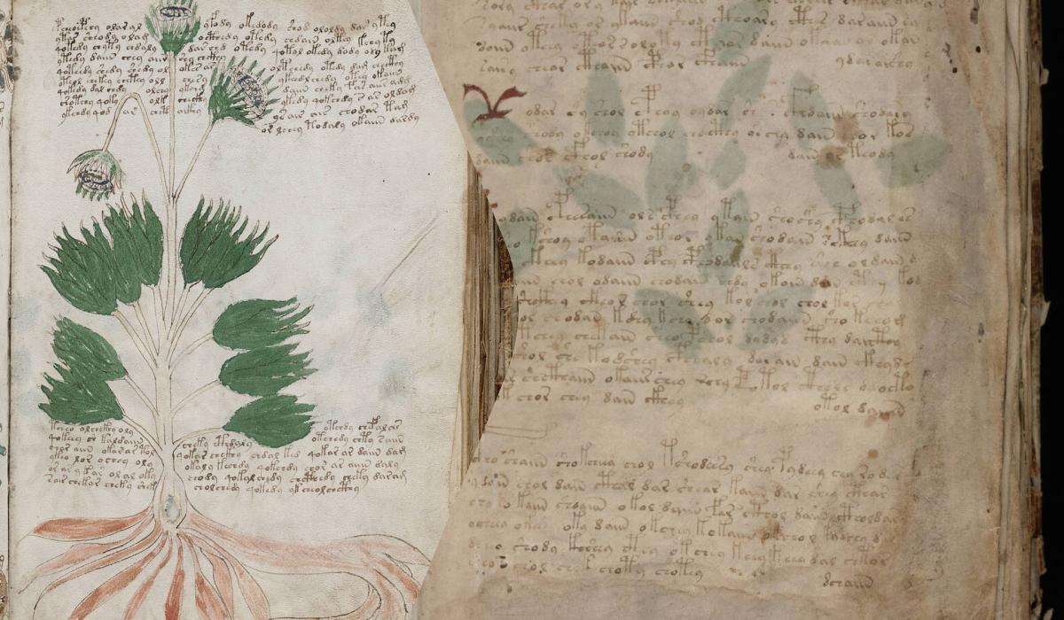 Рукопис Войнича, про який учені нічого не знають, може виявитися середньовічним шифром