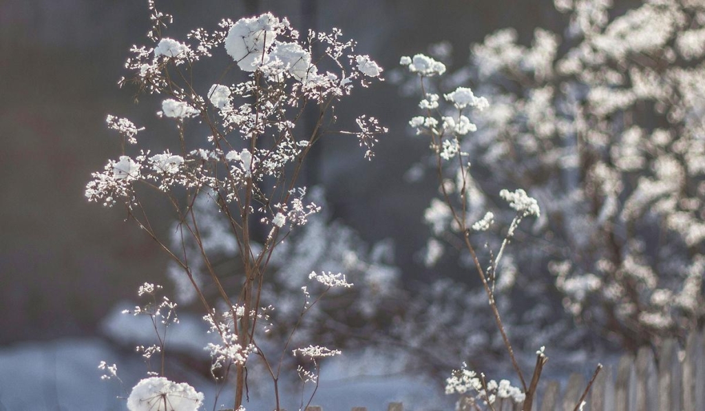 1 березня: церковне свято сьогодні, прикмети та заборони в перший день весни