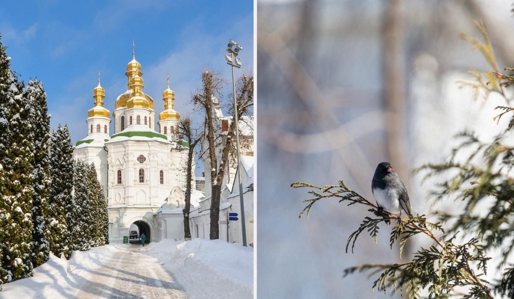 11 лютого: церковне свято сьогодні, прикмета дня, щоб увесь рік жити в достатку