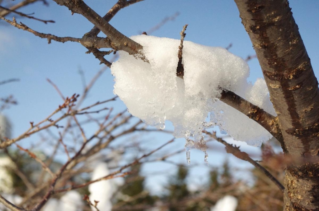 9 лютого: церковне свято сьогодні, для чого особливо сприятливий цей день