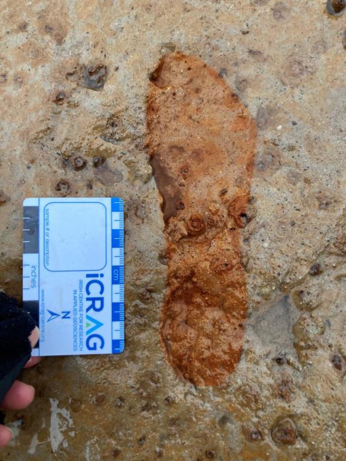 Археологи знайшли сліди римської епохи на шотландському пляжі: про що це свідчить (фото, відео)