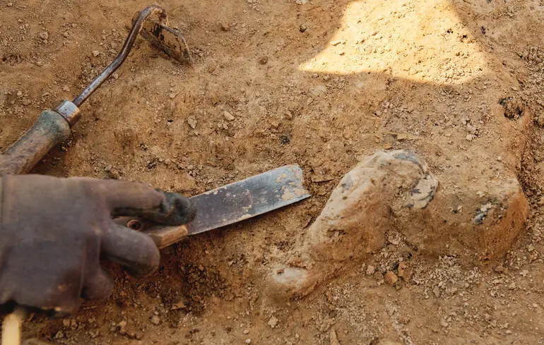 Берег Слонової Кістки: від торгівлі бивнями до шоколадної імперії 1