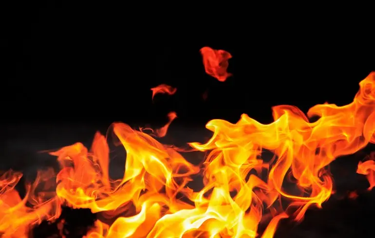 Еволюцію людини міг спровокувати вогонь - дослідники пов’язують імунітет і природний відбір з контролем полумʼя - новини науки 1