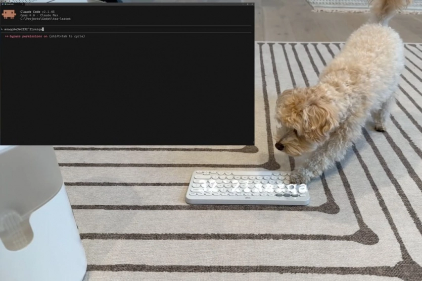 Інженер, звільнений з Meta, навчив собаку "вайбкодити" відеоігри за допомогою Claude Code 1