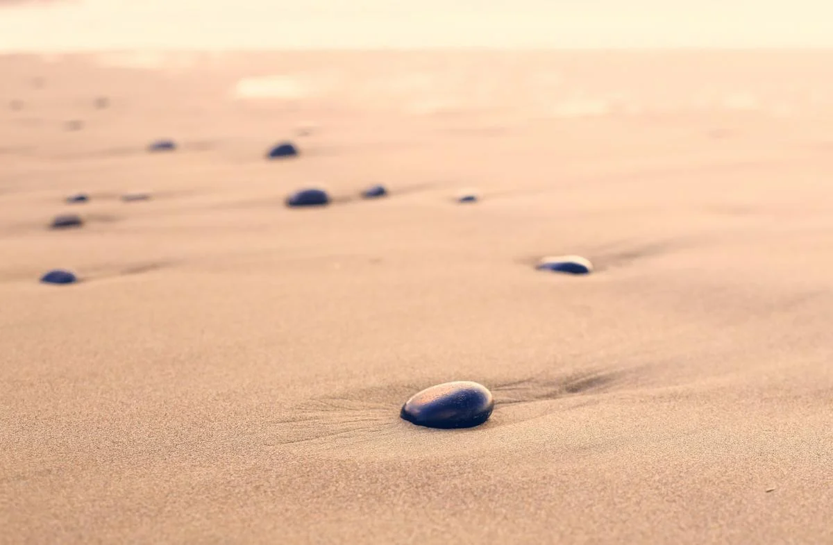 Як утворюються піщані пляжі: звідки на них пісок