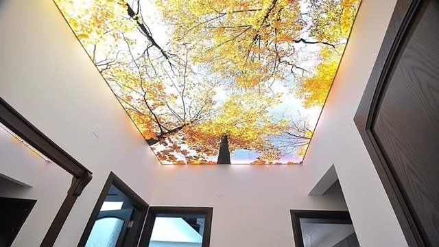 Натяжні стелі — сучасне рішення для комфортного та стильного ремонту 2 Натяжна стеля з фотодруком у спальні із декоративним підсвічуванням