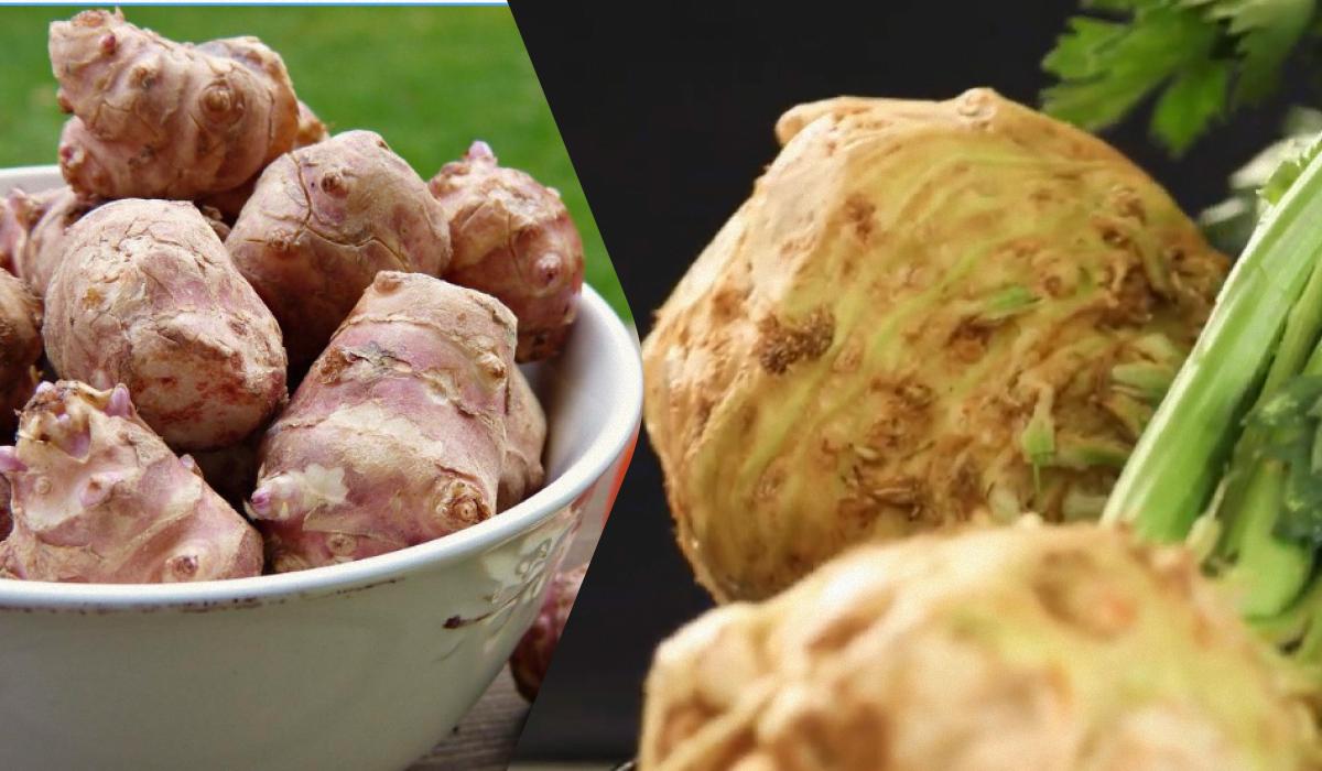 Що їсти для здоров'я кишківника: лікар назвав 5 найкорисніших овочів