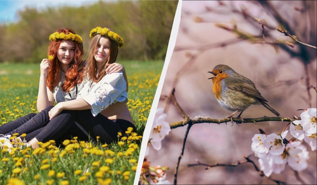 11 березня є велике професійне свято: що категорично не можна готувати