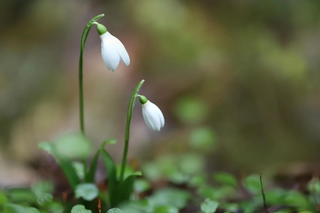 17 березня: сьогодні церковне свято, три заборони цього дня 2 17 березня: сьогодні церковне свято, три заборони цього дня