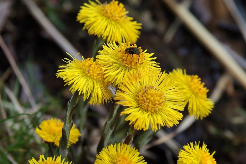 28 березня: церковне свято сьогодні - Похвала Пресвятої  Богородиці, головні заборони дня