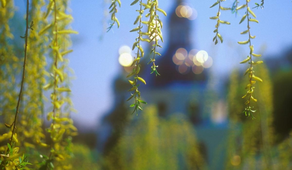 30 березня: церковне свято сьогодні, що потрібно дістати з шафи на Вербич 1 30 березня: церковне свято сьогодні, що потрібно дістати з шафи на Вербич