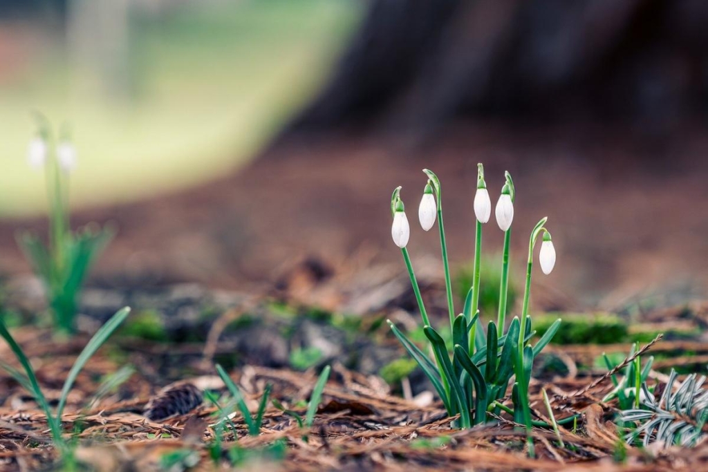 7 березня: церковне свято сьогодні, що несуть до храму і за кого ставлять свічку 2 7 березня: церковне свято сьогодні, що несуть до храму і за кого ставлять свічку
