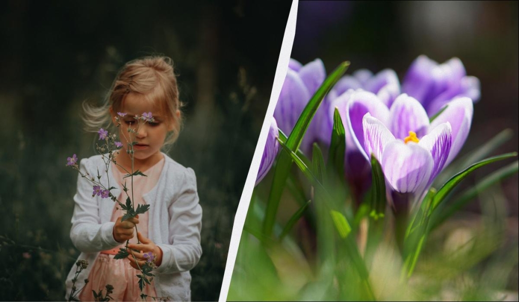 9 березня - велике свято в Україні: вшановуємо Тараса Шевченка і готуємо печиво