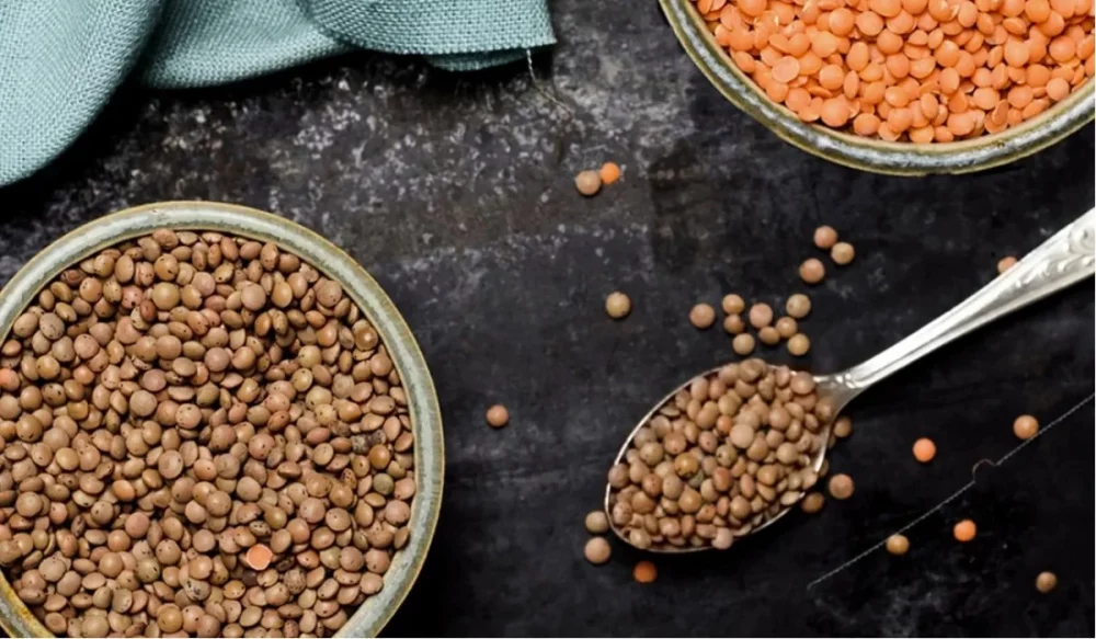 Чим корисна сочевиця: суперфуд для кожного дня 1