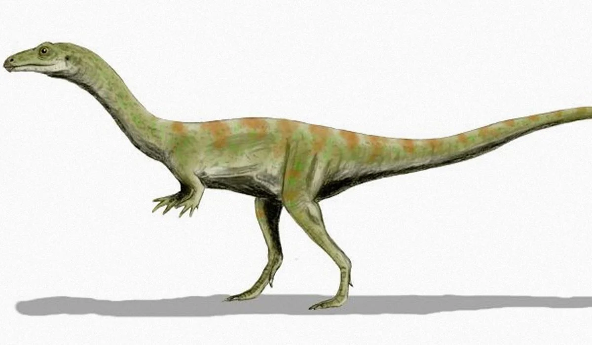 Дослідники знайшли давнього "крокодила", який ходив на двох ногах