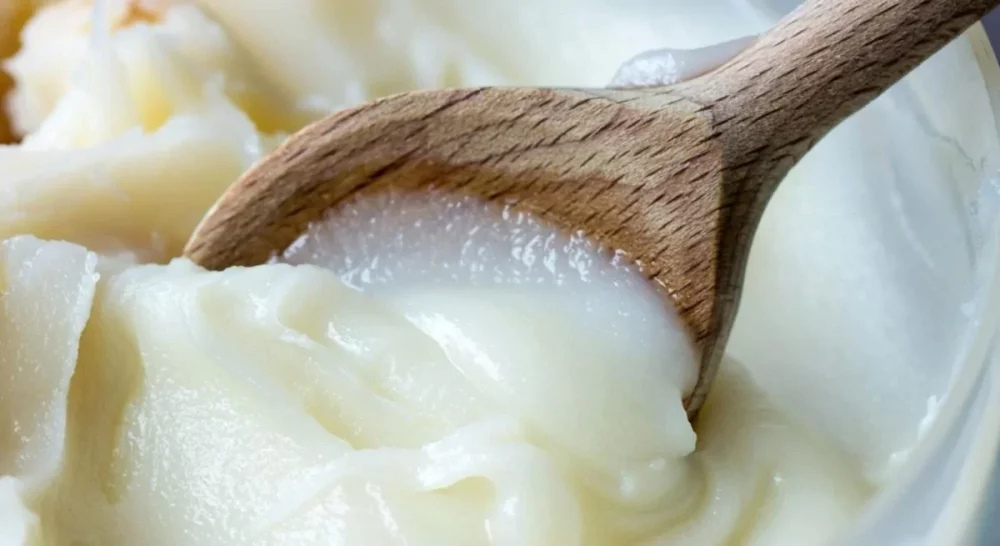 Як приймати борсуковий жир при кашлі: детальний посібник 1