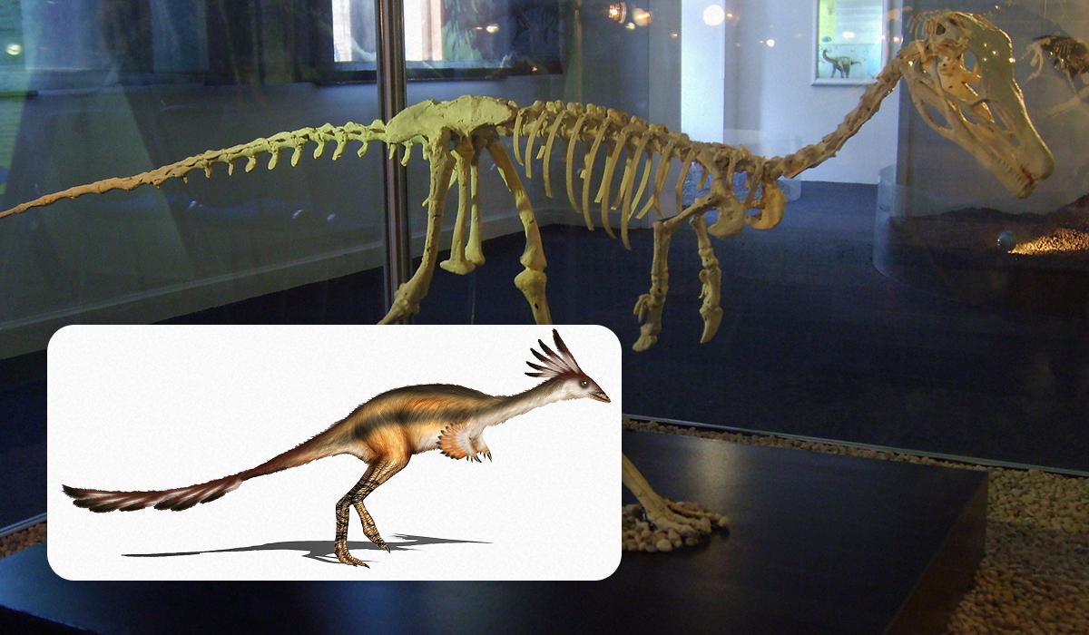 Маленький динозавр розміром із ворону: його скелет може вирішити давню суперечку