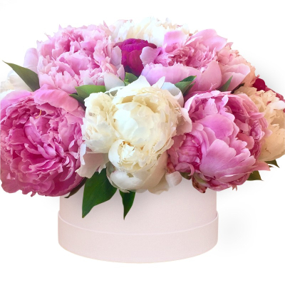 Почему доставка цветов в Валенсию востребована 26 Почему доставка цветов в Валенсию востребована 25