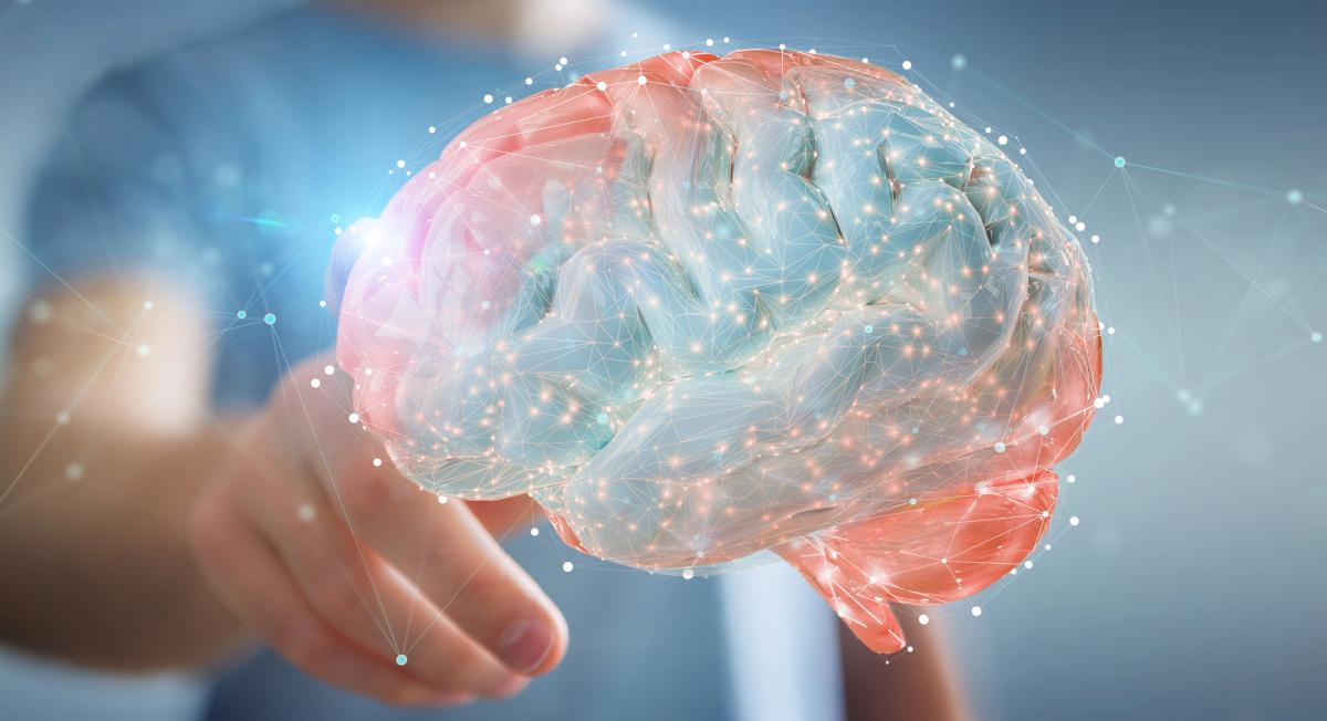 Прорив у нейронауці: німецький дослідник пояснив, як працює навігаційна система мозку