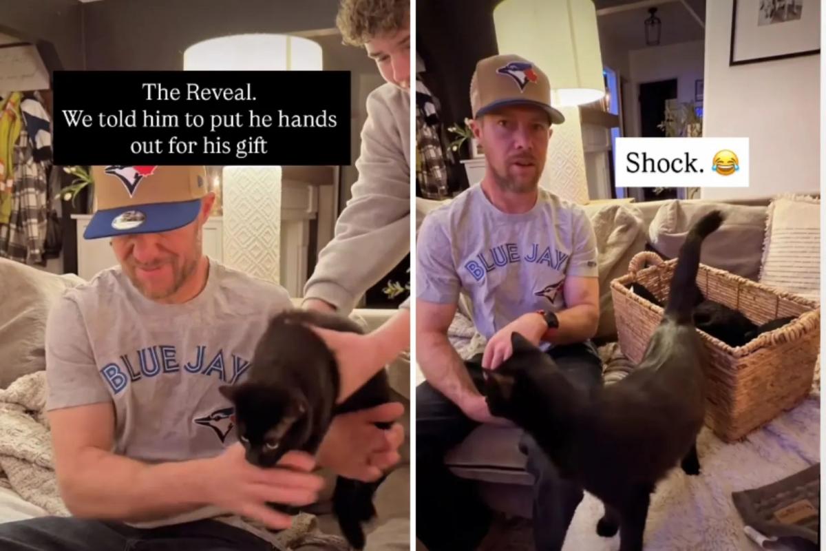 Сім замість одного: дружина випадково зробила чоловіку "пухнастий сюрприз" 1 Сім замість одного: дружина випадково зробила чоловіку "пухнастий сюрприз"