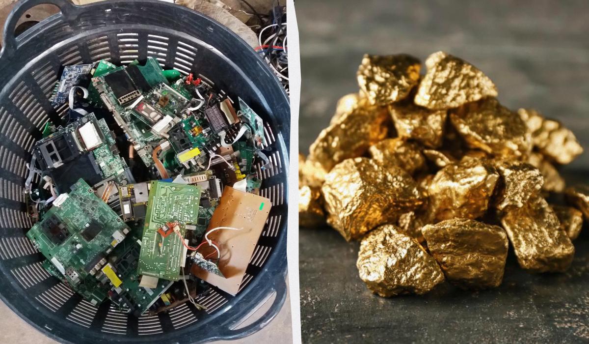 Скарби на звалищі: вчені навчилися видобувати золото з комп&rsquo;ютерів за допомогою сироватки