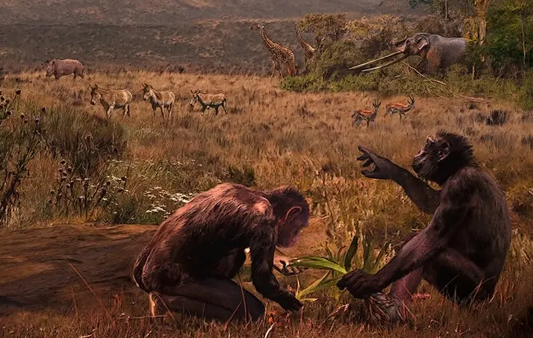 Стародавні грекопітеки вміли ходити на двох ногах - що з'ясували вчені 1