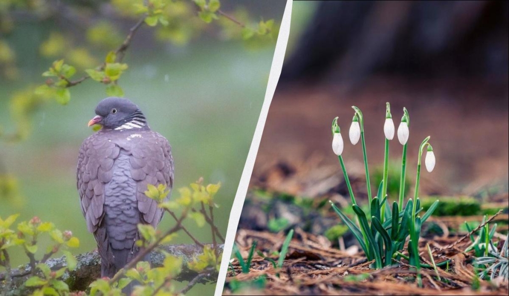 Свято 6 березня в Україні: який сьогодні є обряд для поминання померлих