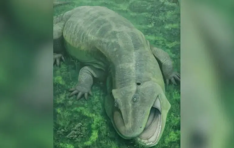 Учені знайшли останки дивної істоти віком 275 мільйонів років - фото 1