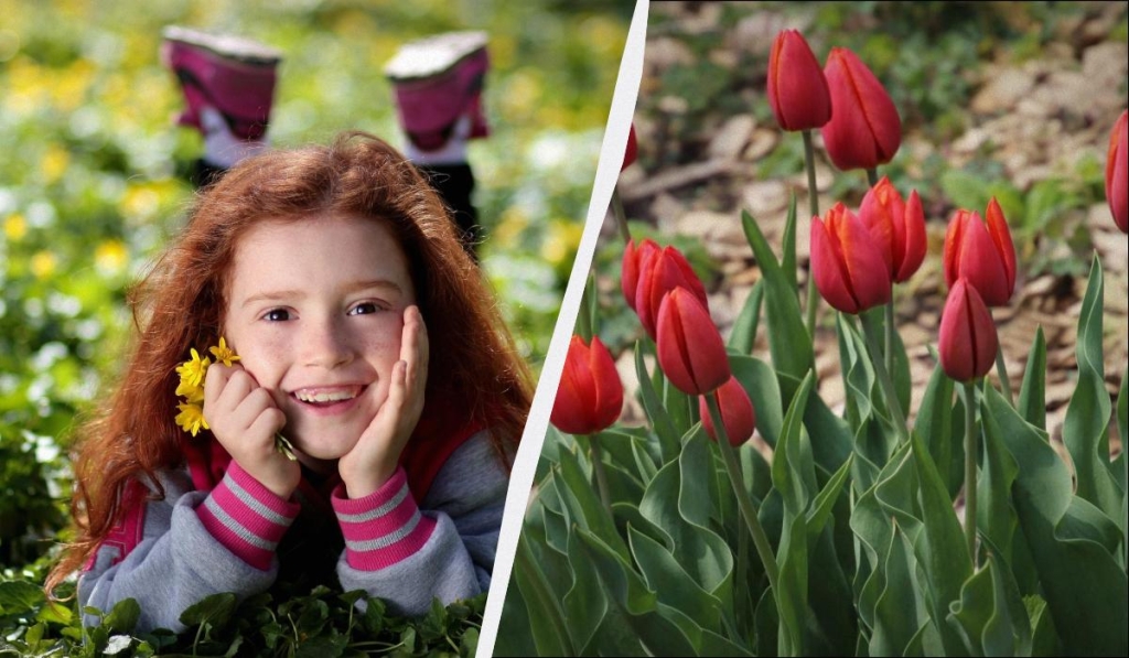 Українські прикмети в свято 16 березня: що не можна купувати, щоб не втрапити в біду 1 Українські прикмети в свято 16 березня: що не можна купувати, щоб не втрапити в біду