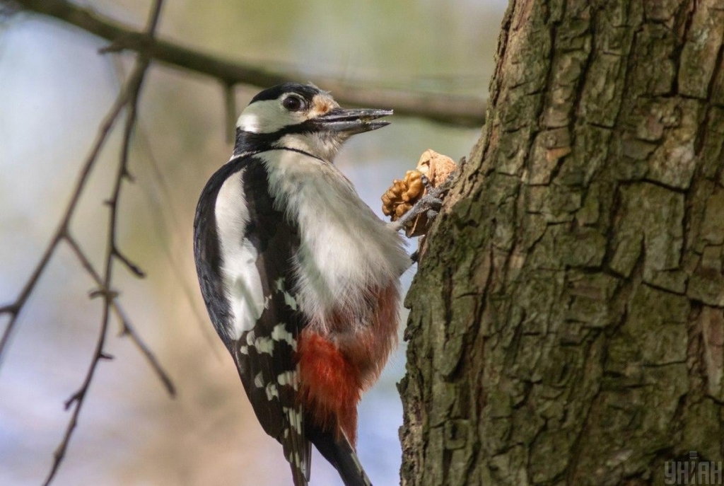 В Україні 25 березня відзначають два великі свята: кого привітати та про що помолитися
