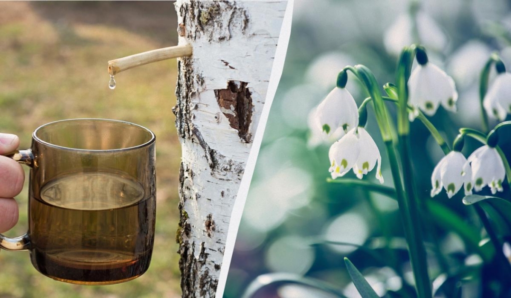 В Україні - велике професійне свято 22 березня:: кого можна привітати 2 В Україні - велике професійне свято 22 березня:: кого можна привітати