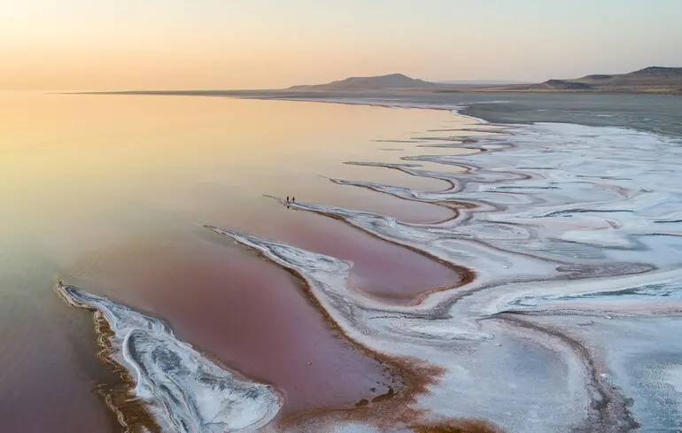 Вчені відкрили новий вид тварини у Великому Солоному озері - мікроскопічні черв’яки живуть у солоних відкладеннях - новини науки 1