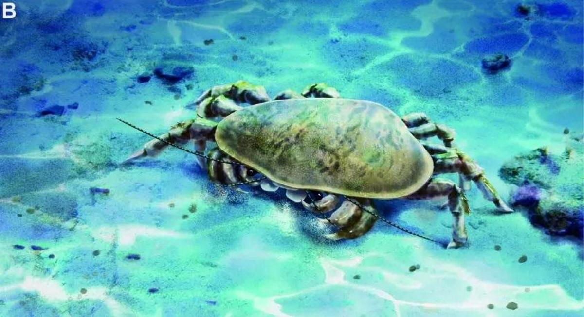 Вчені виявили рідкісну скам'янілість із майже повним тілом і потужними щелепами 1 Вчені виявили рідкісну скам'янілість із майже повним тілом і потужними щелепами