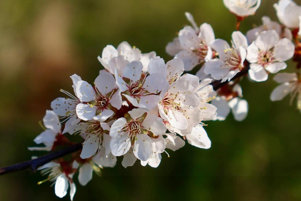 20 квітня: церковне свято сьогодні, початок Провідного тижня - що не можна робити до обіду