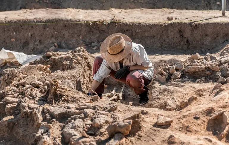 Археологічні відкриття в Польщі - під час будівництва дороги S17 у Замості знайдено понад 100 тисяч артефактів. 1