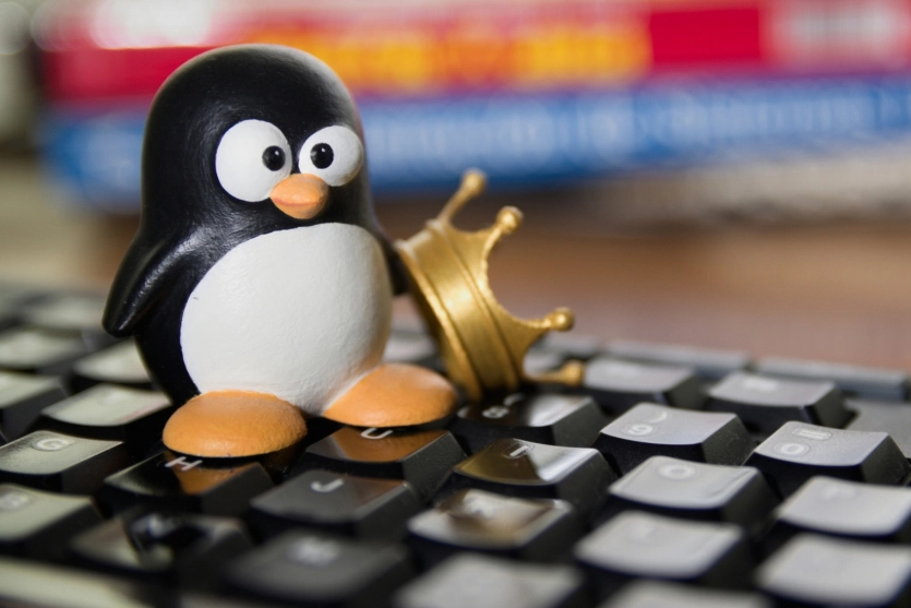 "Більше 3,3 млн завантажень": нещодавно оновлено Linux-альтернативу Windows 11 1