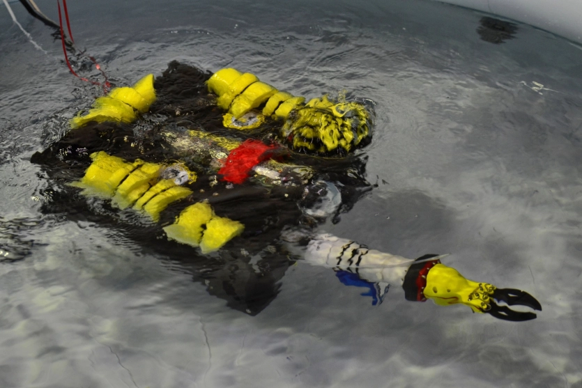 Більше 3,5 км під водою: Китай здатен знищити глобальний інтернет на недосяжній для інших глибині 1