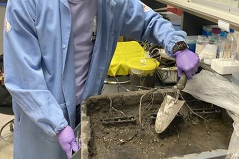 Бруд замість акумуляторів: науковці розробили новий паливний елемент на основі ґрунтових мікробів 4